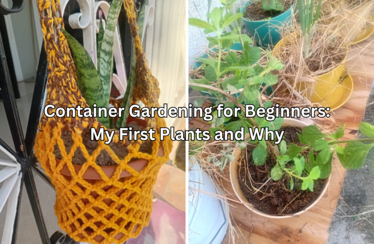 Container Gardening for Beginners - My First Plants and Why