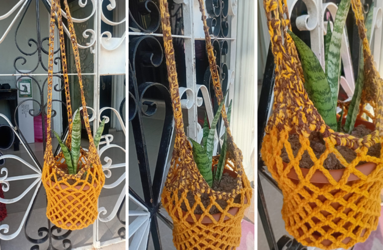 Snake Plant in Crochet Plant Hanger
