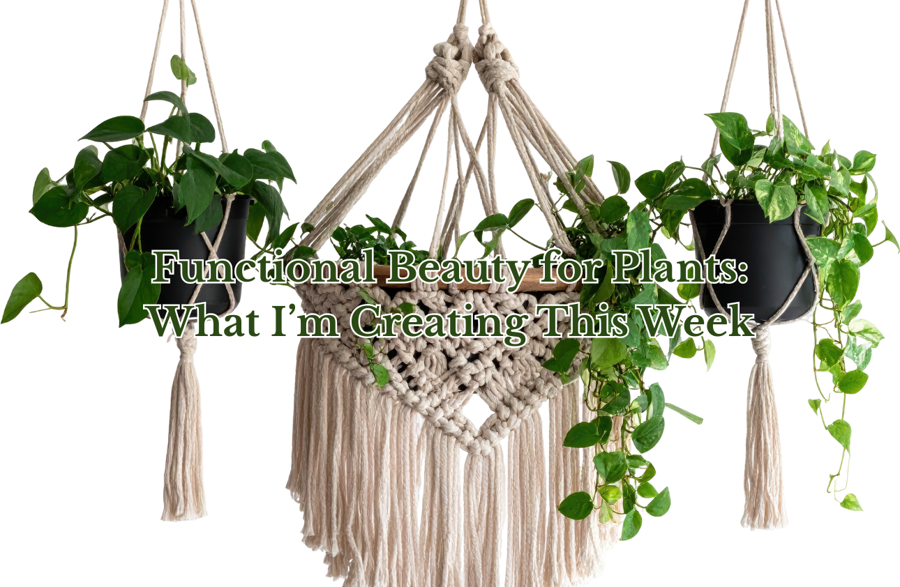 Functional and Beauty crochet plant hangers - What I’m Creating This Week