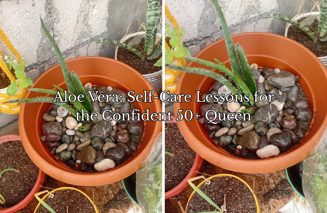 Aloe Vera: Self-Care Lessons for the Confident 50+ Queen