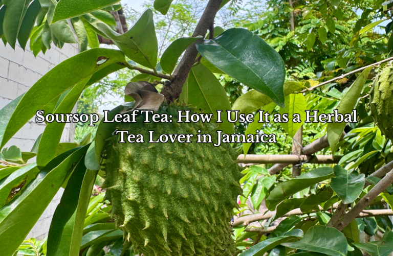 Soursop Leaf Tea: How I Use It as a Herbal Tea Lover in Jamaica