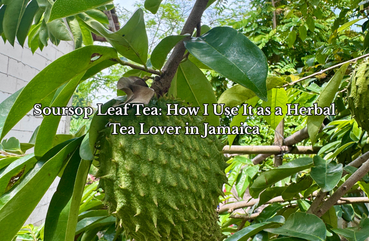 Soursop Leaf Tea: How I Use It as a Herbal Tea Lover in Jamaica