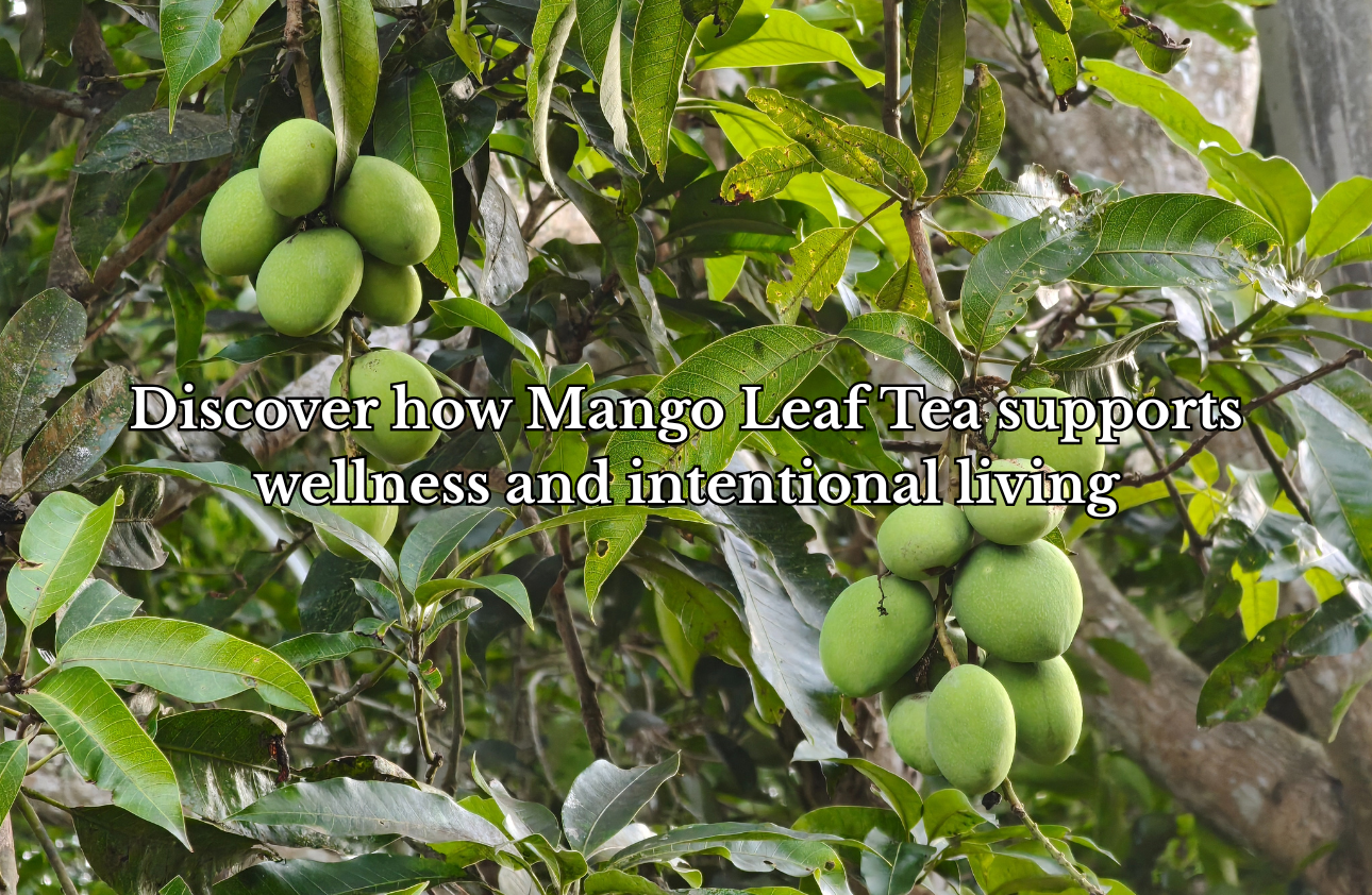 Mango Leaf Tea: The Ritual That Keeps Me Grounded