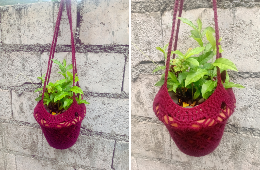 Growing Herbs in Pots in Jamaica - Crochet Plant Hanger