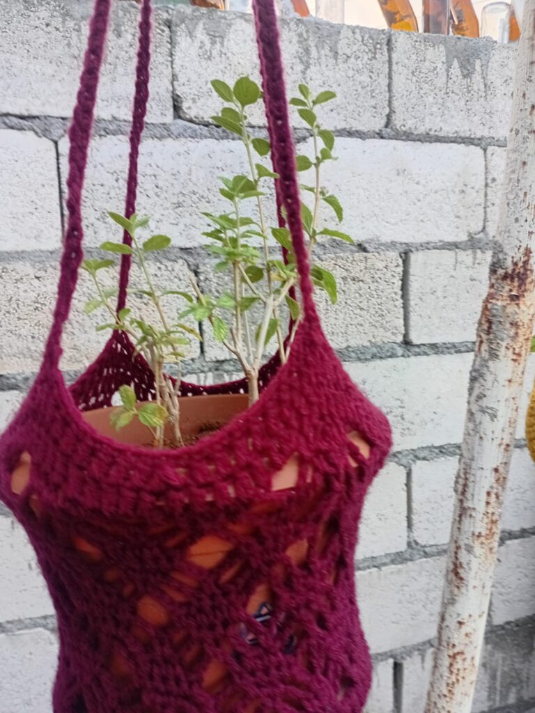 Container Garden - Green Mint
