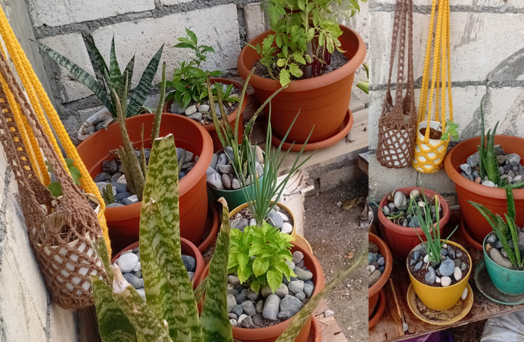 Garden Essentials
